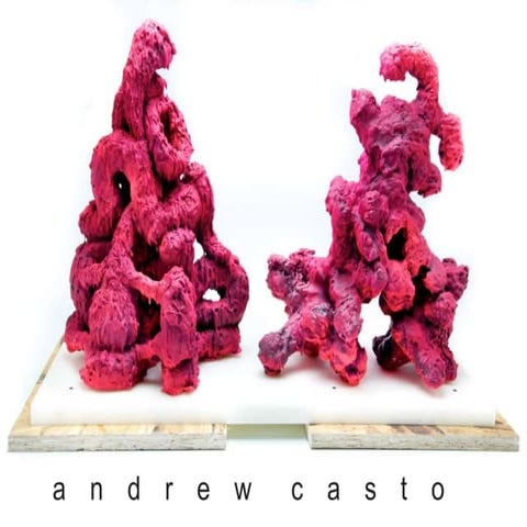 2015 NCECA Emerging Artist - Andrew Casto