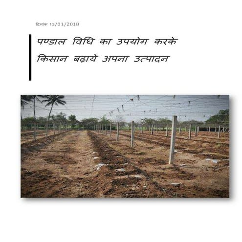 Bower system for Horticulture crop specially for vegetable