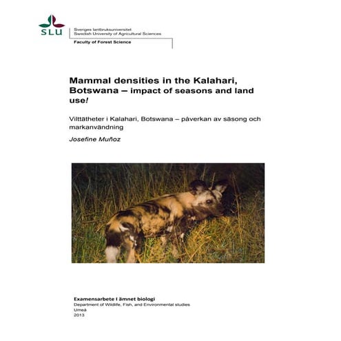 MASTER THESIS, Munoz, Ref 20140536