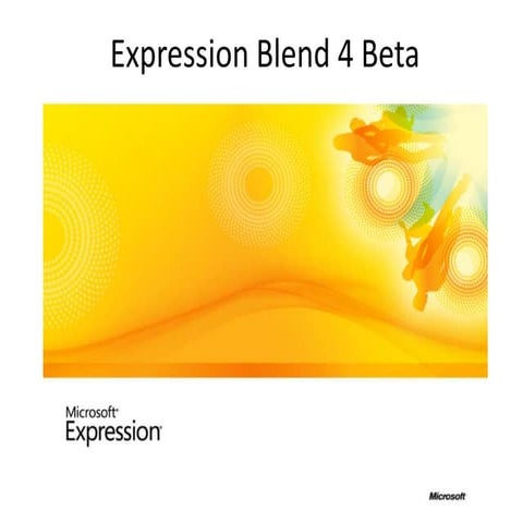 MIX10 Roundup: Expression Blend 4