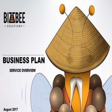 Business Plan - Service Overview