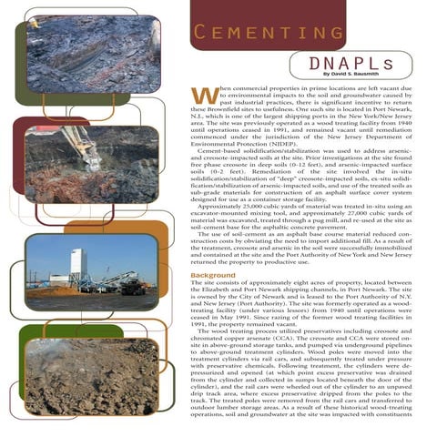 In-Situ Contaminant Stabilization and Brownfield Redevelopment