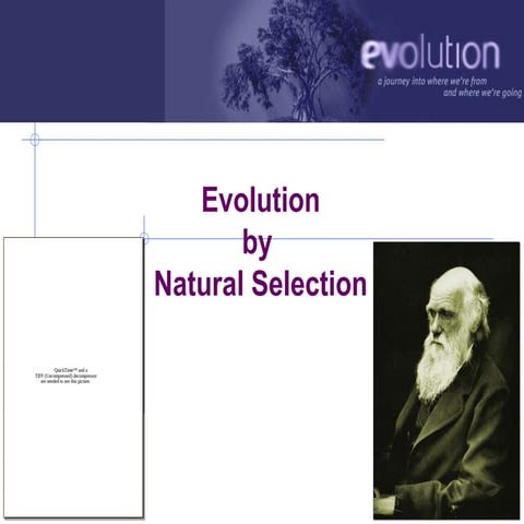 02 ch22evolutiondarwin2008