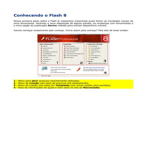 Apostila básica de flash 8 0 | PDF