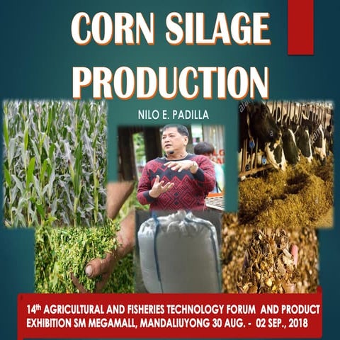 Corn Silage Production / Nilo Padilla
