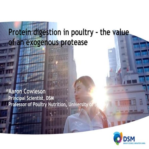 Protein digestion in poultry – the value of an exogenous protease- A Cowieson...