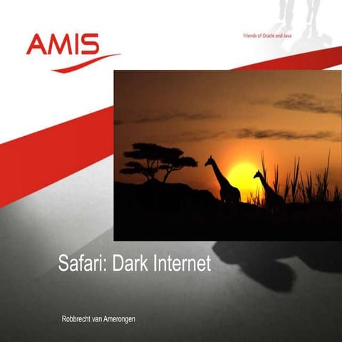 Deep and Dark internet Safari, How to hire a hacker? Robbrecht van Amerongen