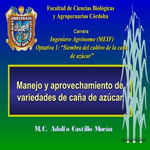 02 desarrollodevariedades