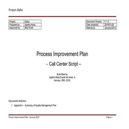 Alpha Case Study - Process Improvement Plan_Sample