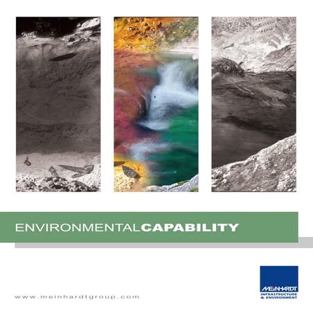 Environmental  Capability