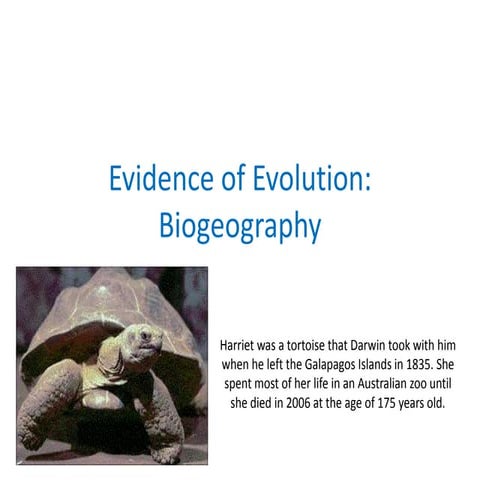 02 evidence of evolution   biogeography