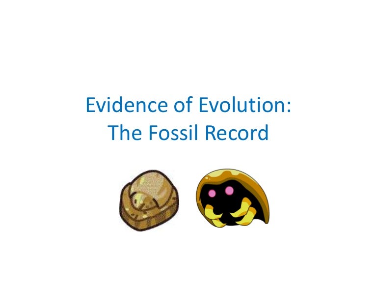 02 evidence of evolution fossils