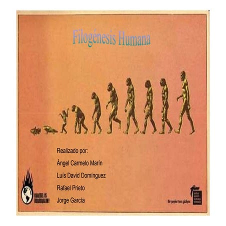 Filogenesis Humana