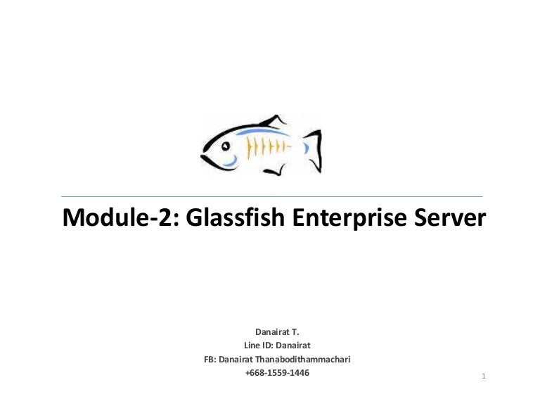 Glassfish JEE Server Administration The Enterprise Server