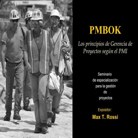 Los Principios de Gerencia de Proyectos según el PMI