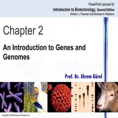 02_Lecture_Presentation.ppt on genes by prof lraymond | PPT