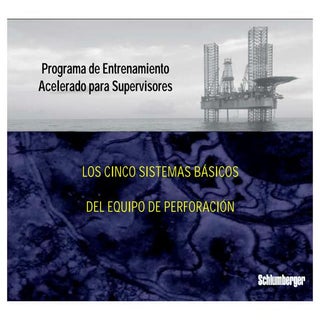 02 los cinco sistemas del equipo