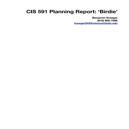 Birdie Planning Report