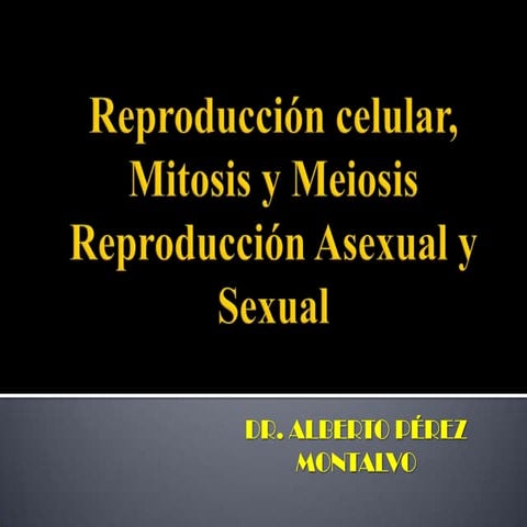Reproducción Celular, Mitosis y Meiosis [MONTALVO]