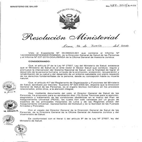 02 rm487 2010-minsa atenciones obstetricas