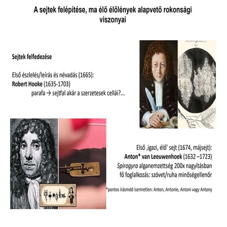 Sejtek felépítése - PPKE ITK sejtbiológia előadás