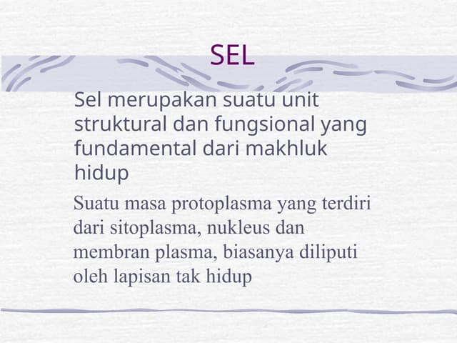 02_sel02_sel002_sel02_sel2_sel02_sel.pptx