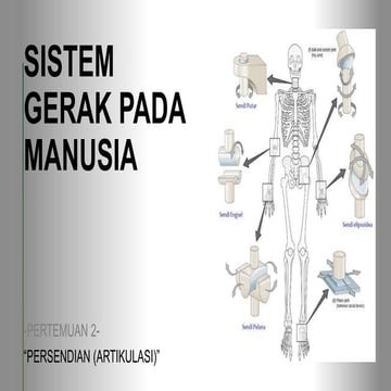 03 sistem gerak pada manusia otot | PPTX