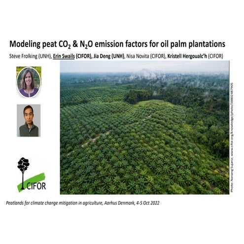 Modeling peat CO2 & N2O emission factors for oil palm plantations | PDF
