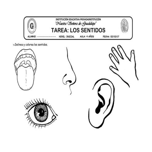 02 tarea los sentidos