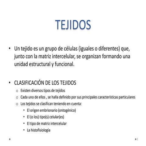 02 tejido epitelial, conectivo y piel 2013