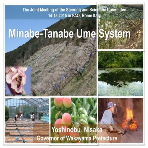 Minabe-Tanabe Ume System | PDF