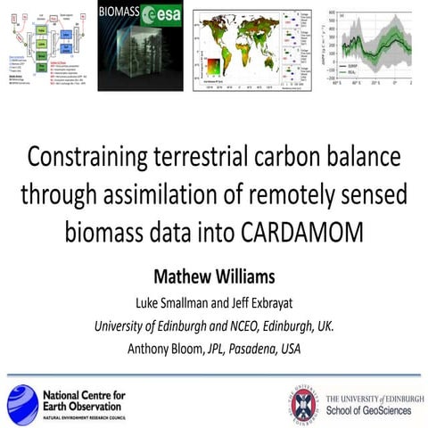 Constraining terrestrial carbon balance through assimilation of remotely sens...