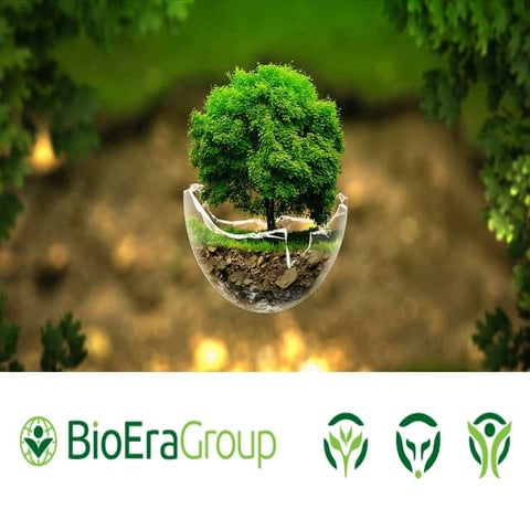 Live stock BIOERAGROUP full vers.