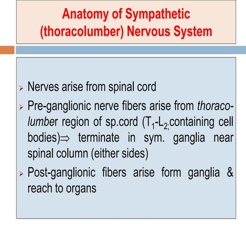 03. adrenergic drugs 