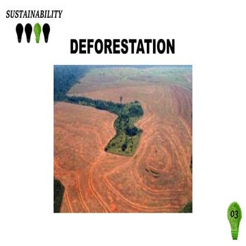 SUSTAINABILITY - DEFORESTATION