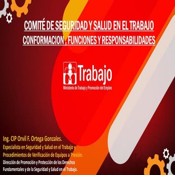 COMITE SEGURIDAD Y SALUD EN EL TRABAJO SST