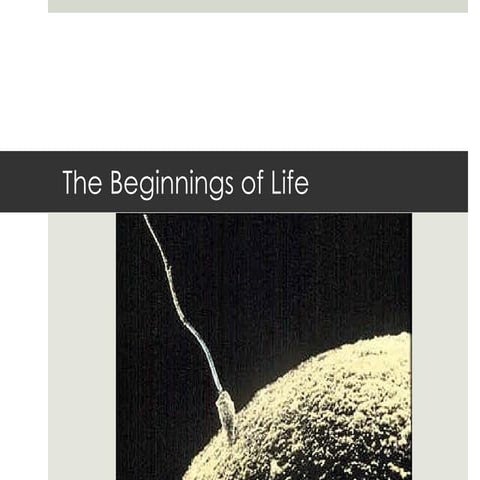 03   beginnings of life