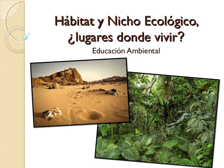 Hábitat y nicho ecológico, ¿lugares donde
