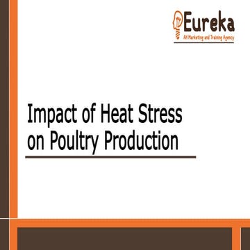 Impacts of heat stress on poultry production