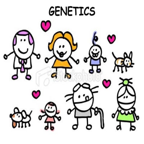 03   mendelian genetics