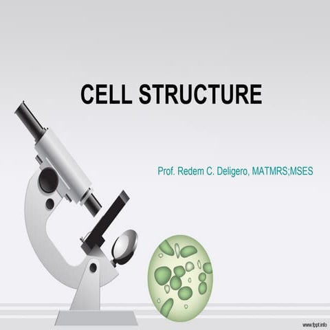 Cell Structure