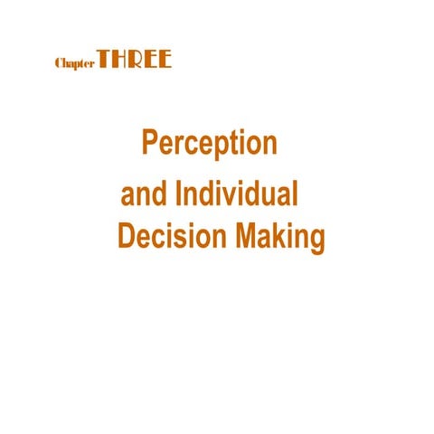 Perception and individual decisionmaking