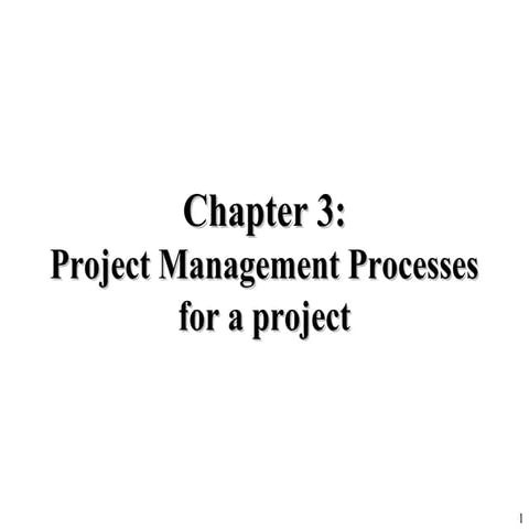 03  project management processes for a project
