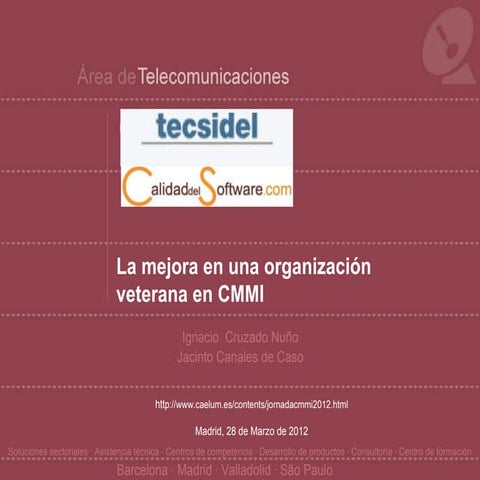 03 Tecsidel VII Semana CMMI
