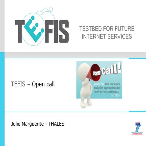 Julie Marguerite - Tefis open calls  (fia dec 2010)