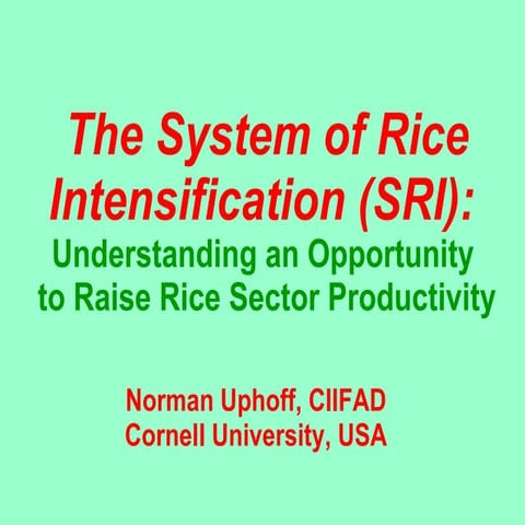 0301 Understanding an Opportunity to Raise Rice Sector Productivity