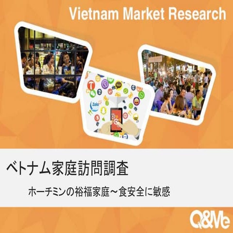 ベトナム家庭訪問レポート（ホーチミン富裕層宅）