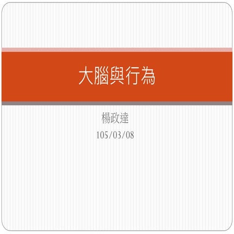 0308大腦與行為.pptx