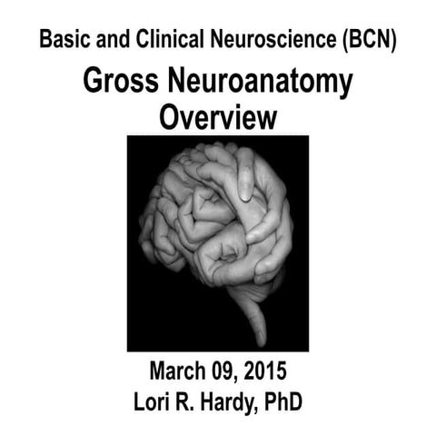 030915 overview gross neuroanatomy student