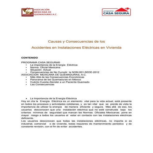 Resumen ejecutivo: Causas y Consecuencias de los Accidentes en Instalaciones ...